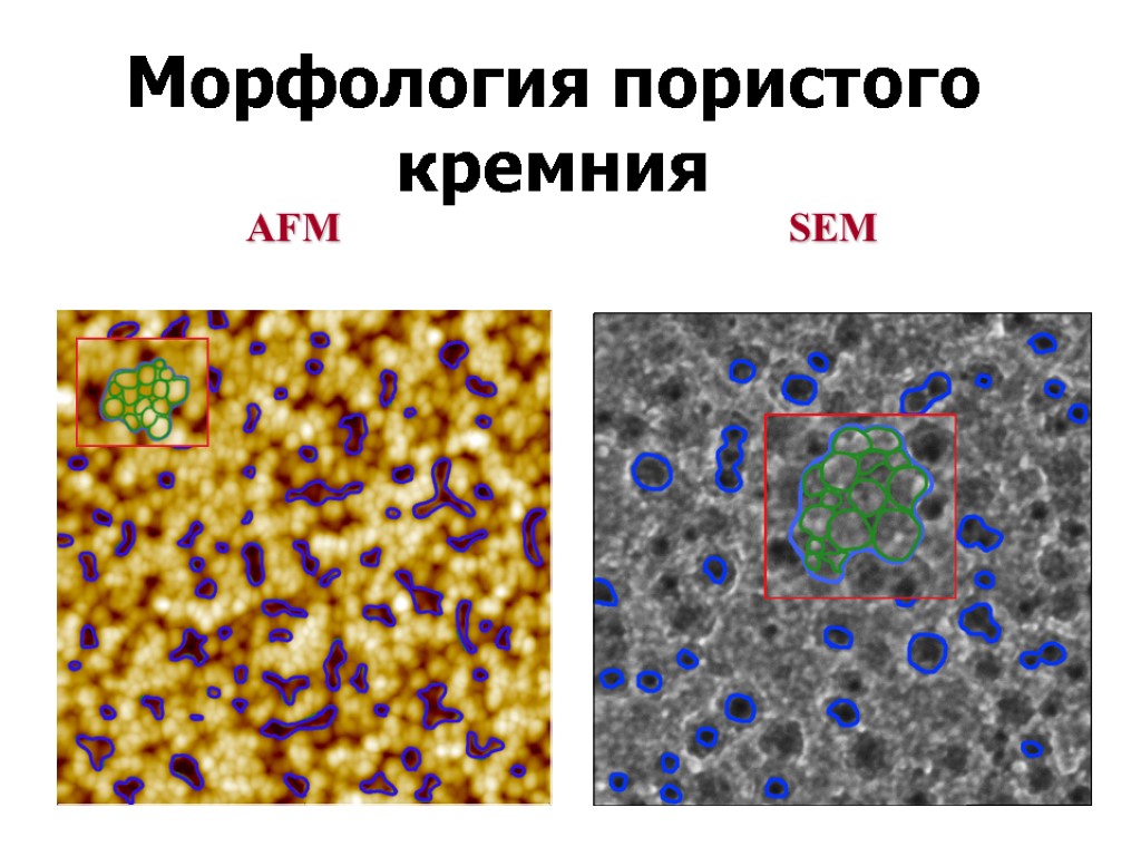 13 AFM SEM Морфология пористого кремния